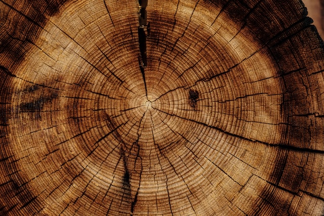 Wzmocnienie podłogi drewnianej z olejem