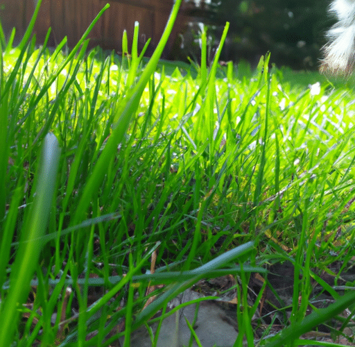 Jak wybrać najlepszą sztuczną trawę do ogrodu – praktyczne porady