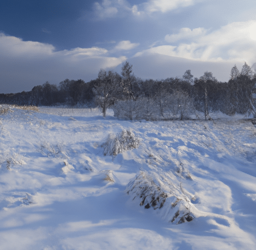 Jak zaaranżować zimowy taras aby cieszyć się nim nawet podczas chłodnych miesięcy