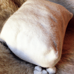 DIY: Jak zrobić poduszkę z supełem