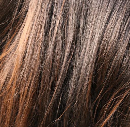 Piękno brązowych włosów: jak nadać im wyjątkowego blasku za pomocą refleksów?