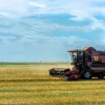 Quiz: Rolnictwo i przemysł w Polsce - sprawdź swoją wiedzę