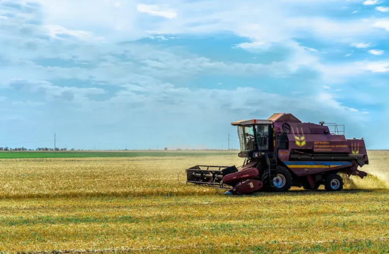 Quiz: Rolnictwo i przemysł w Polsce – sprawdź swoją wiedzę