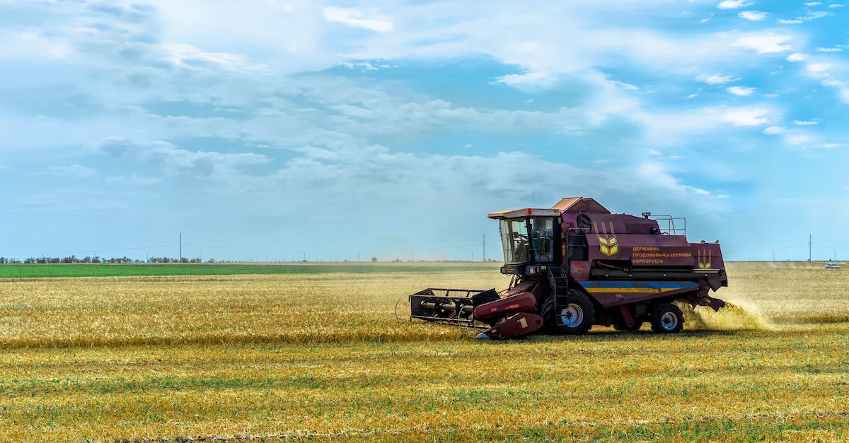 Quiz: Rolnictwo i przemysł w Polsce - sprawdź swoją wiedzę