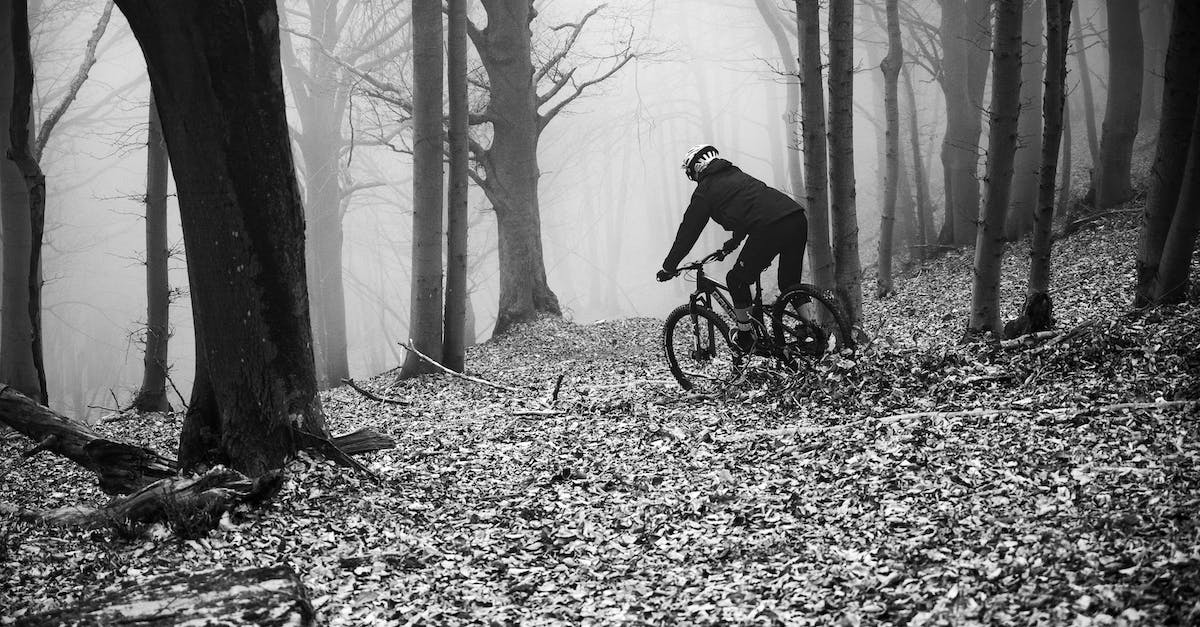 Odkryj nowe poziomy adrenaliny dzięki rowerom górskim