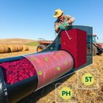 zakiszanie w rękaw wysłodek buraczanych